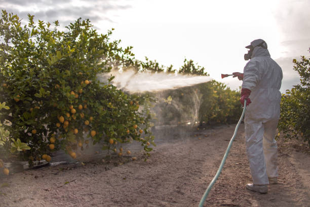Best Emergency Pest Control  in Keowee Key, SC