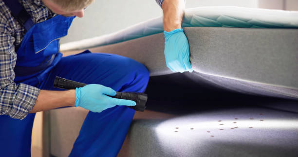 Best Bed Bug Extermination  in Keowee Key, SC