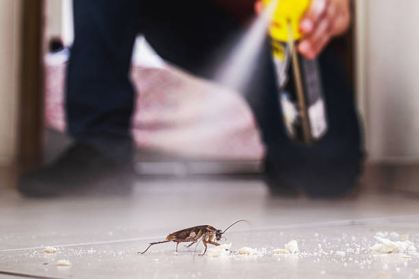 Best Pest Prevention Services  in Keowee Key, SC