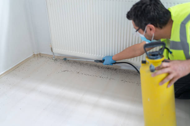 Best Cockroach Control Services  in Keowee Key, SC